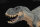 REBOR 160444 - 1:35 Tyrannosaurus rex - Vanilla Ice Mountain *1