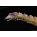 REBOR 161021 - 1:35 Male Diplodocus carnegii Stargazer...