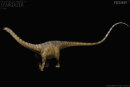 REBOR 161021 - 1:35 Male Diplodocus carnegii "Stargazer" Museum Class Replica Plain Ver. *1
