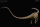 REBOR 161021 - 1:35 Male Diplodocus carnegii "Stargazer" Museum Class Replica Plain Ver. *1