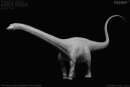 REBOR 161045 - 1:35 Diplodocus carnegii Museum Class...