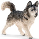Schleich 16835 - Husky