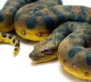 Safari Ltd. 100688 - Grüne Anaconda