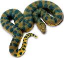 Safari Ltd. 100688 - Grüne Anaconda