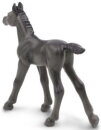 Safari Ltd. 153705 - Arabian Foal