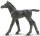 Safari Ltd. 153705 - Arabian Foal