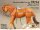 Rio Rondo Bijoux (1:18) TR744 Western Saddle Tree