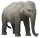 Animals of Australia 75901 - Elephant