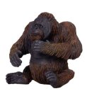 Mojö 381028 - Orangutan
