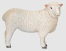 Mojö 381064 - Romney Sheep Ewe