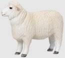 Mojö 381063 - Romney Sheep Ram