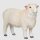 Mojö 381063 - Romney Sheep Ram