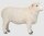 Mojö 381063 - Romney Sheep Ram