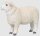 Mojö 381063 - Romney Sheep Ram
