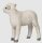 Mojö 381065 - Romney Lamb (standing)