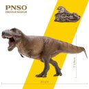 PNSO 18 - Cameron the Tyrannosaurus Rex