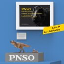 PNSO 18 - Cameron the Tyrannosaurus Rex