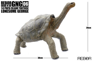 REBOR 161052 - GNG 06 1:6 Pinta Island Tortoise "Lonesome George" *1
