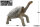 REBOR 161052 - GNG 06 1:6 Pinta Island Tortoise "Lonesome George" *1