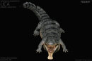 REBOR 161083 - 1:35 Sarcosuchus imperator  “Lica” Museum Class Replica Deluxe Pack Lake Ver. *1