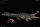 REBOR 161083 - 1:35 Sarcosuchus imperator  “Lica” Museum Class Replica Deluxe Pack Lake Ver. *1