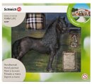 Schleich 42269 - Horse Care, Frieian