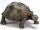 Schleich 17015 (14601) - Riesenschildkröte