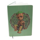 Craft Buddy CANJ-MCU922 - Crystal Art Notebook Set - Groot