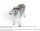 Mojö 380051 - Pferde Blind Bag (1 Pferd + 1 Fohlen)