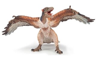 Papo 55034 - Archaeopteryx (Re-Edition)
