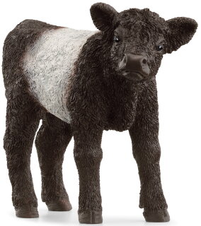 Schleich 13969 - Galloway Kalb