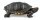 Papo 50309 -  Florida Tortoise