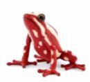 Papo 50315 - Poisen Dart Frog