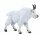 Papo 50317 - Mountain Goat (pre order*)