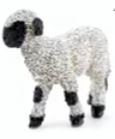 Papo 51193 - Valis Blacknose Lamb