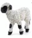 Papo 51193 - Valis Blacknose Lamb (pre order*)