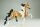 Breyer Traditional (1:9) 711615 - Stagecoach Buckskin Tobiano (glossy)