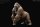 REBOR 160611 - 1:11±1 Alpha Male Mountain Gorilla " GORILLA Z" Primal *1