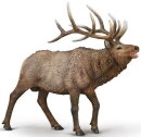CollectA 80021 - Wapiti (Elk) - Vorbestellung*