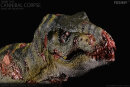 REBOR 161137 - 1:35 Zombie T-Rex "Cannible...