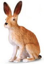 Mojö 381072 - European Hare