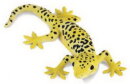 Mojö 381077 - Leopard Gecko