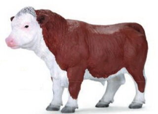 Mojö 381073 - Hereford Bull