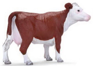 Mojö 381074 - Hereford Cow