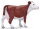 Mojö 381074 - Hereford Cow