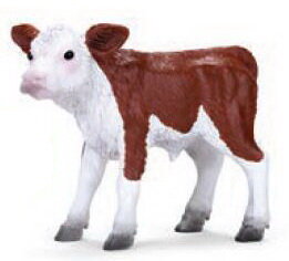 Mojö 381075 - Hereford Kalb