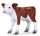 Mojö 381075 - Hereford Kalb