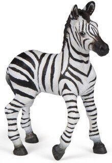 Papo 50123 - Zebra Fohlen