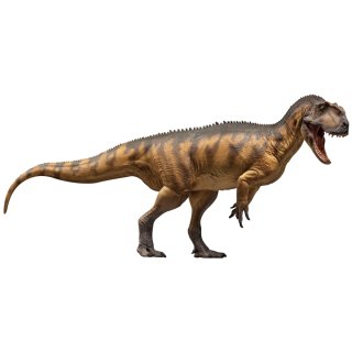 PNSO 76 - Dapeng the Yangchuanosaurus magnus