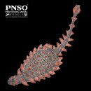 PNSO 78 - Cayden the Zuul